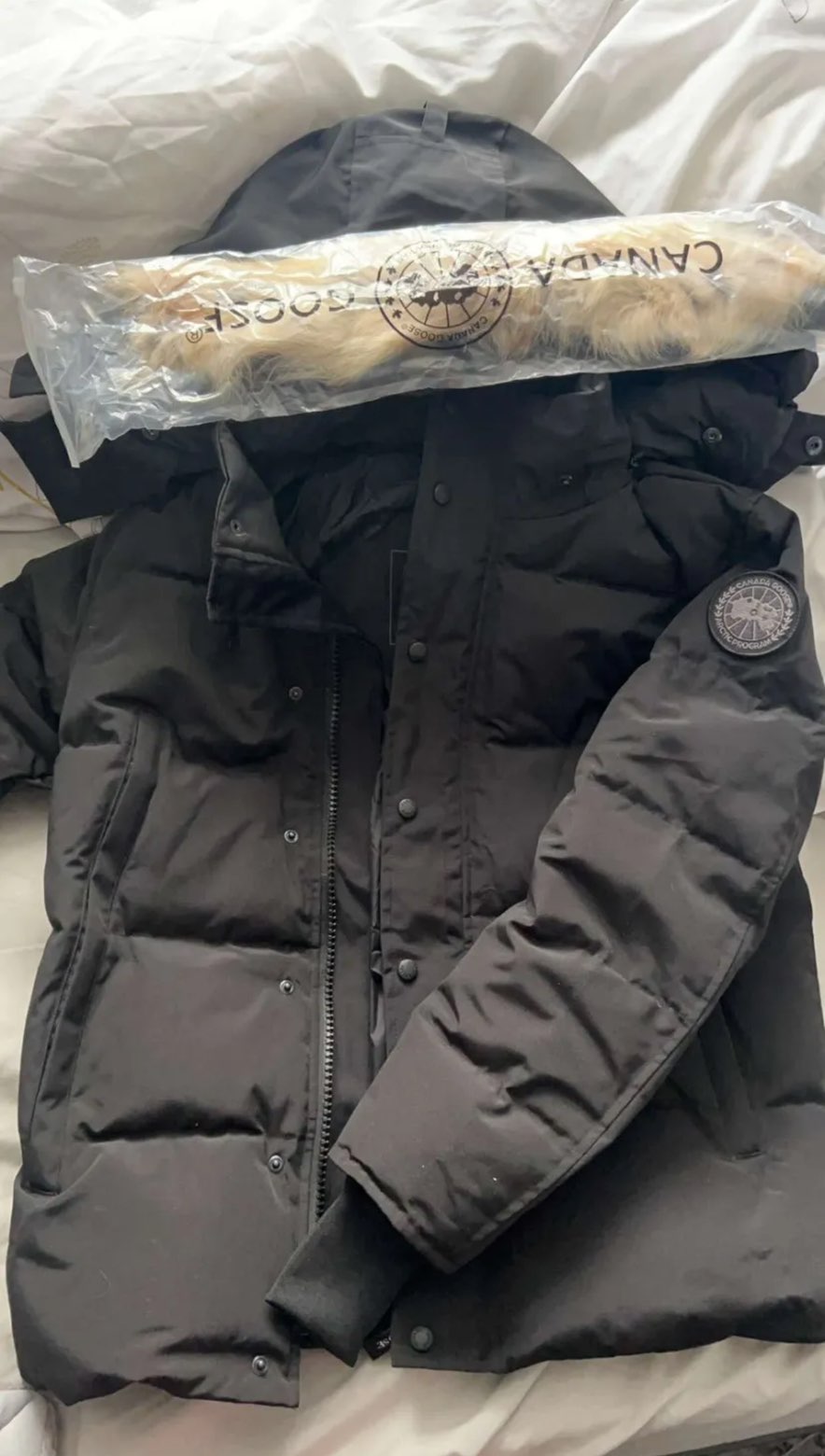 Canada Goose (With Fur)